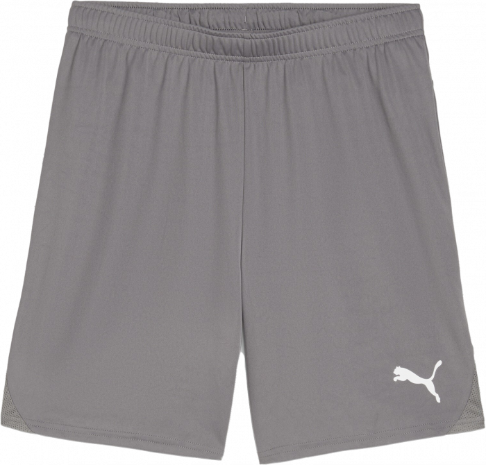 Puma - Teamgoal Shorts - Cast Iron & vit